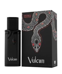 Alternative view of Frenc Avenue Vulcan Black Friday