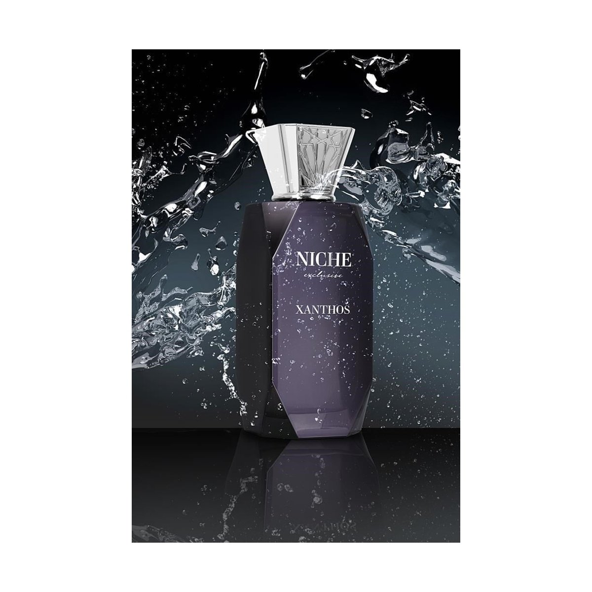 Niche Exclusive Xanthos - Görsel 2